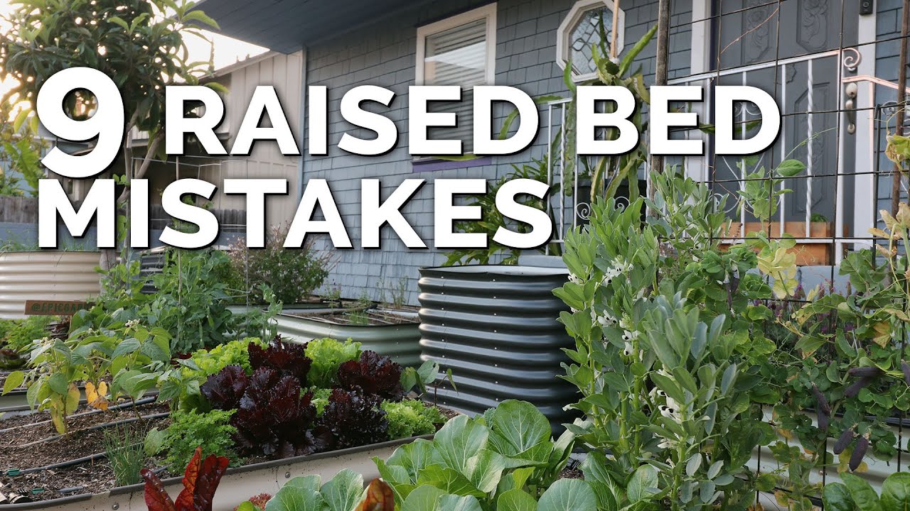 The Top Plants That Struggle in Raised Bed Gardens